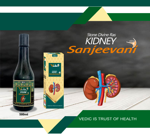 Kidney Sanjeevani Ras
